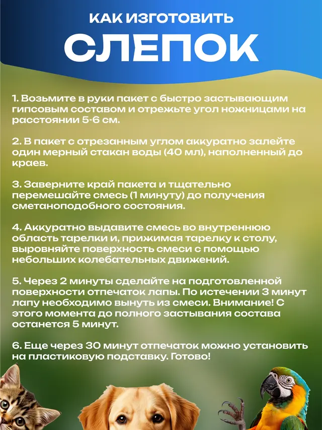 Набор "Дай лапу" для создания гипсового слепка лапки питомца — фото 4