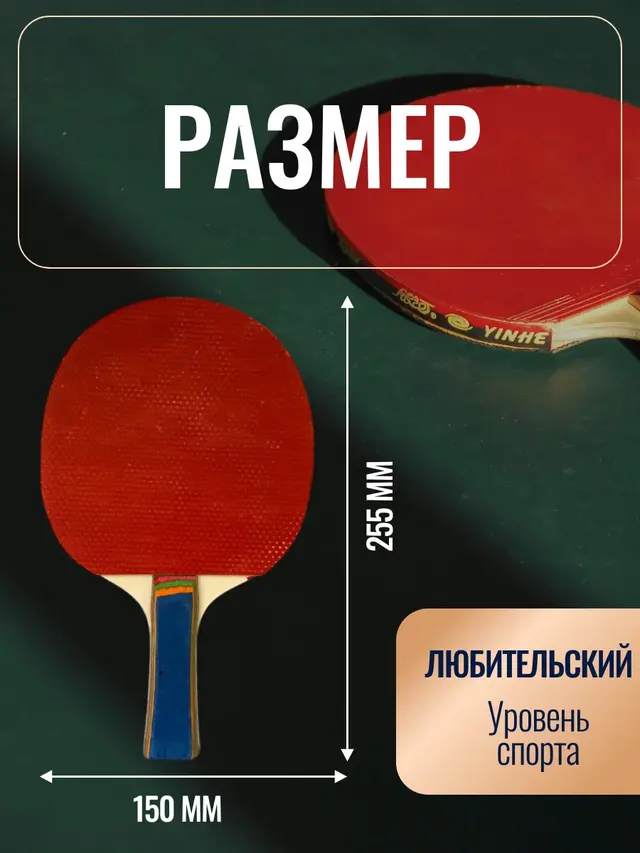 Ракетка для настольного тенниса, для начинающих игроков — фото 2